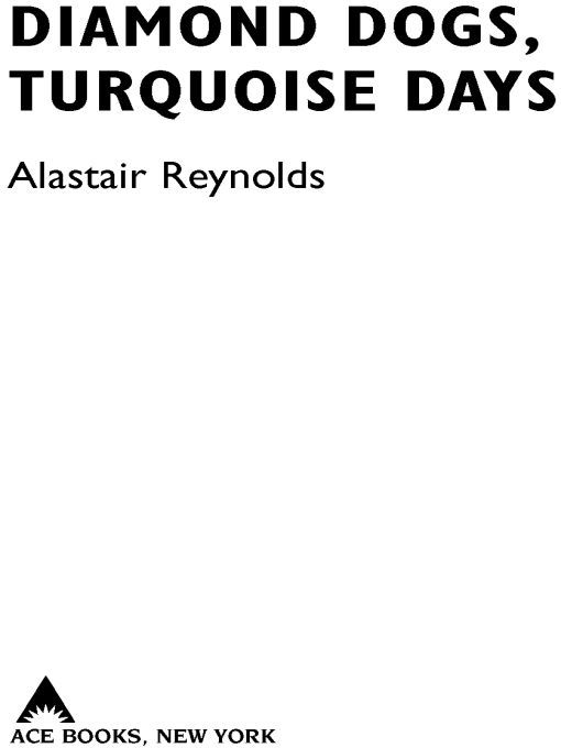 Diamond Dogs, Turquoise Days